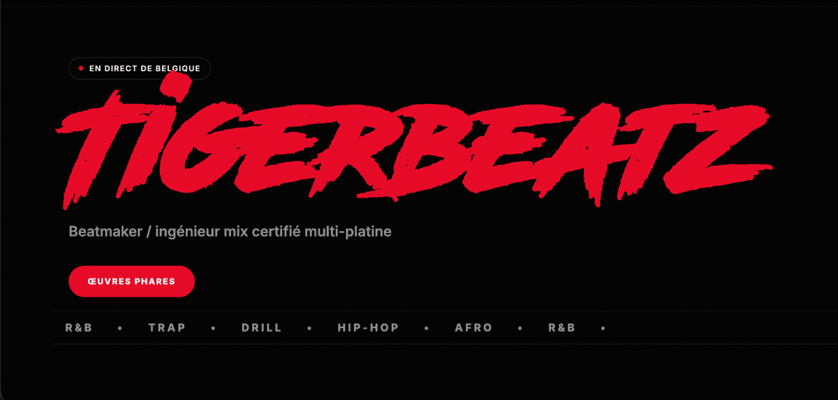 Tigerbeatz website preview